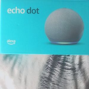 Echo Dot-alexa